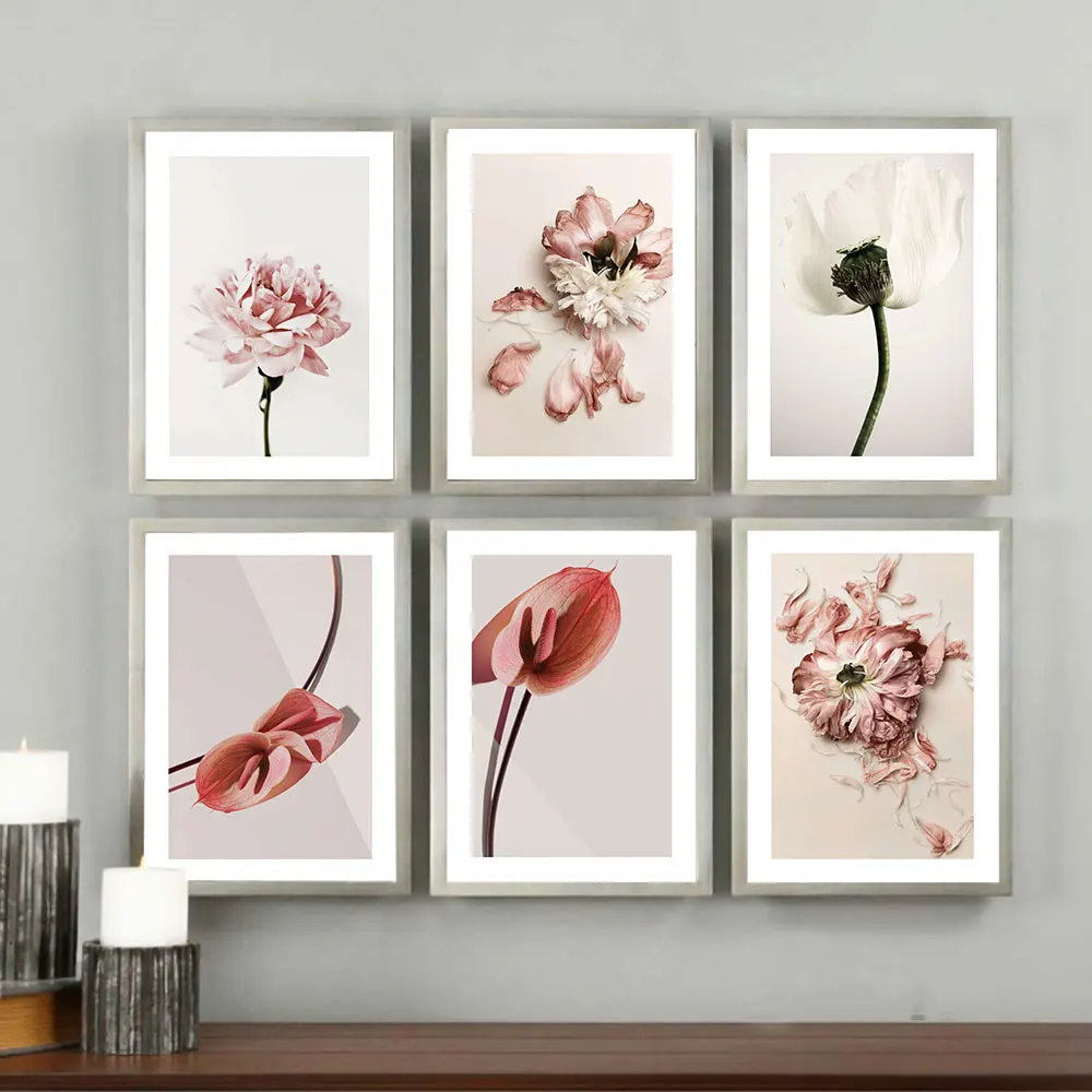 

Flowers Nordic Posters and Prints Beatiful White Pink Red Petals Wall Art Canvas Painting Pictures for Living Room Home Decor