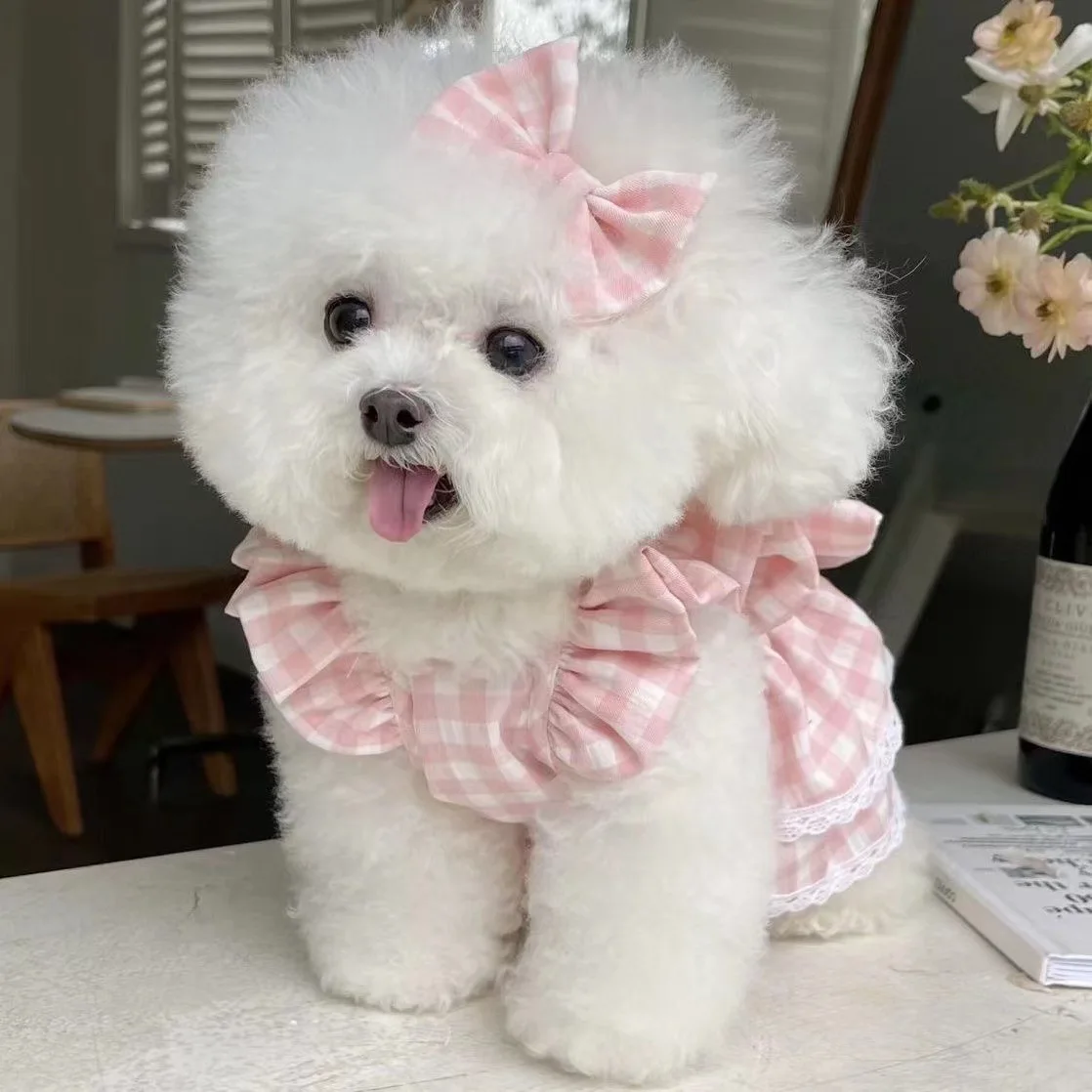 

Pet clothes spring and summer new plaid flounced sleeve traction buckle bow skirt teddy bichon dog cat clothes