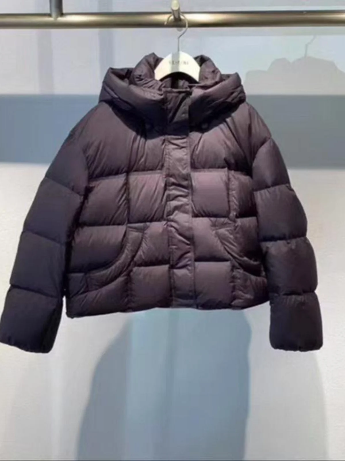 Shifan Li 2024 Winter New All-Match Small Stand Collar Hood Down jacket Women 3fa28055