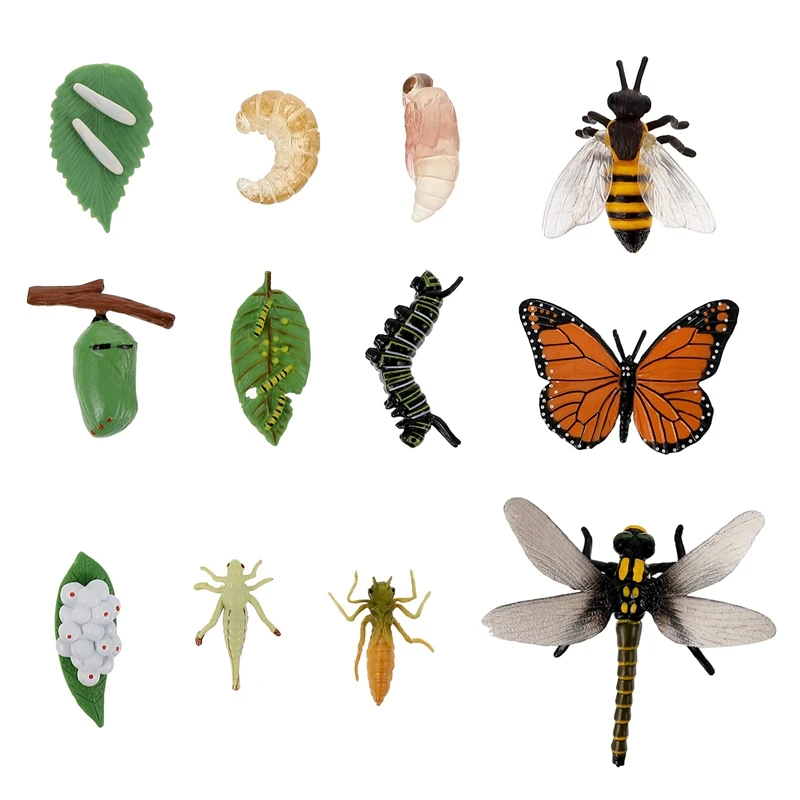 

-12 PCS Animal Life Cycle Insect Growth Model Figure Monarch Butterfly Honey Bee Dragonfly Figurines For Kids Toys Kit