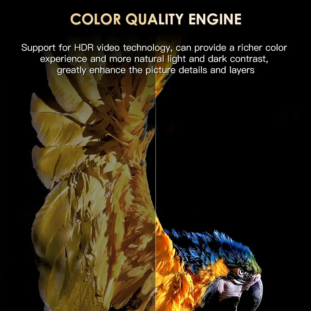 H20PRO Smart Android TV Box 10.0 2 ГБ 16 4 и 5G WIFI 4K Play Store Очень быстрый медиаплеер 1080P ТВ-приставка