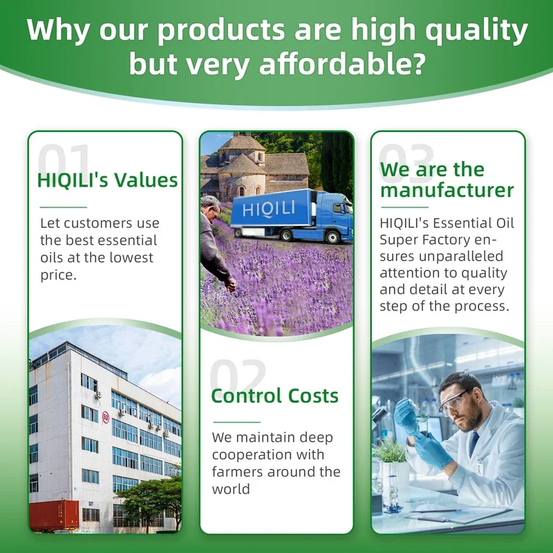 HIQILI 100 мл эвкалипт ванильный ладан мятный сандал роза эфирные масла для диффузора