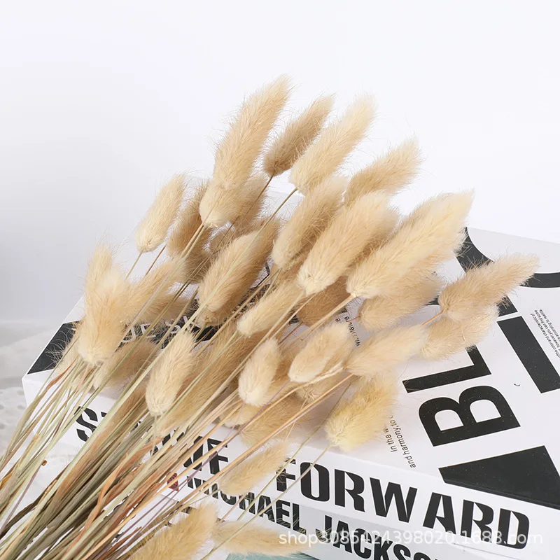 

30PCS Simple Elegant Fluffy Pampas Dried Flowers Rabbitail Artifical Flower Fluffy Natural Home Decor