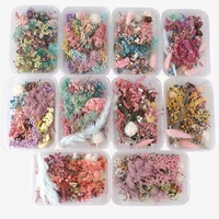 1box mix beautiful real dried flowers natural floral for art craft scrapbooking resin jewelry craft making epoxy mold filling