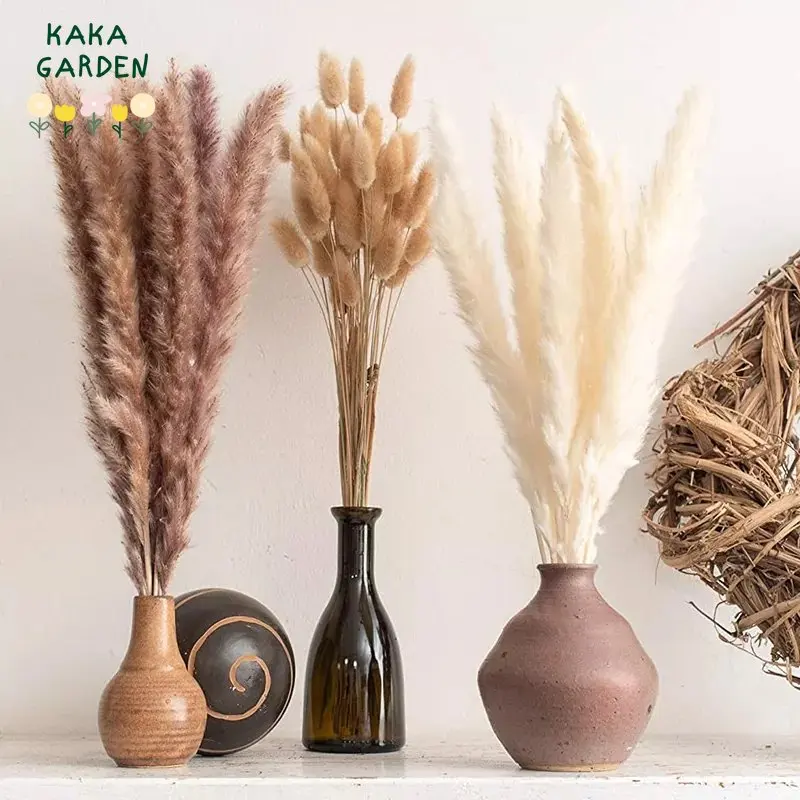 

Fluffy Pampas Dried Flowers Bouquet Home Decor Natural Bunny Rabbit Tail Grass Wedding Garden Decoration Real Reed Living Room
