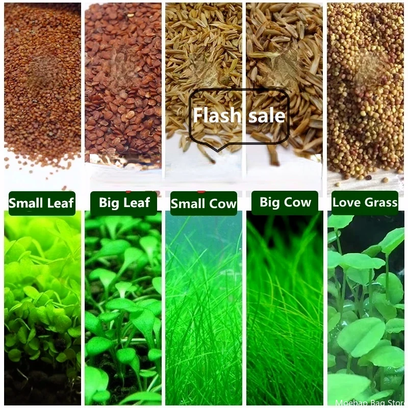 

New Fish Aquarium Decoration Background Quickly Landscaping Aquatic Plants Aerobics Fish tank Breeding Aquarium Accessoires