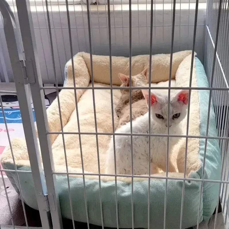 Теплый вердитель для катания черный гнездо матрец