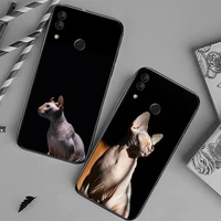 sphynx cat cute animal phone case for huawei honor mate 10 20 30 40 i 9 8 pro x lite p smart 2019 y5 2018 nova 5t