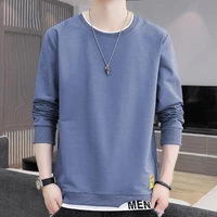2022 trend style round neck hoodie thin style no fleece long sleeve loose false two young mens hoodies spring and autumn new
