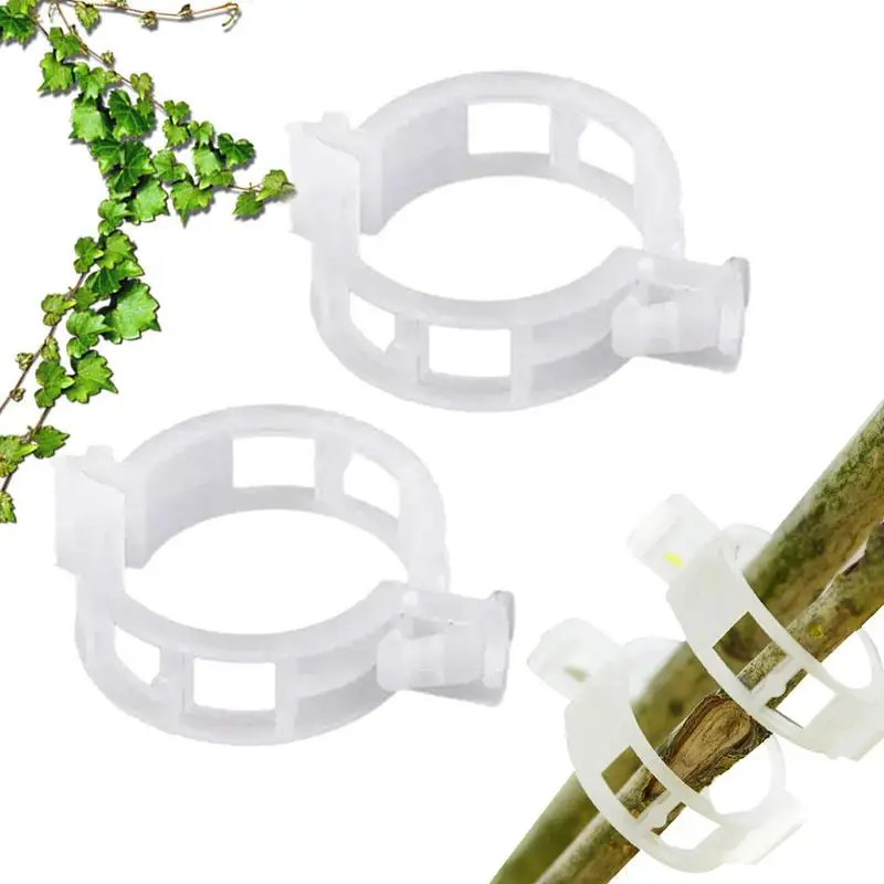 

Tomato Clips 100pcs Tomato Vine Clamps Fixing Clips For Supporting Climbing Vegetable Stalks Vines Flowers