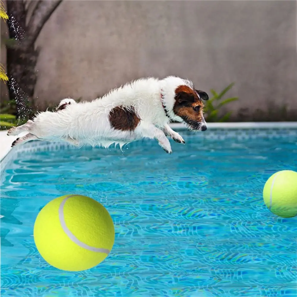 

1PC for Outdoor Training Tyre Pump Inflatable Rubber Puppy Chewing Toy Pet Toys Dog Tennis Ball Dog Tooth Grinding Ball