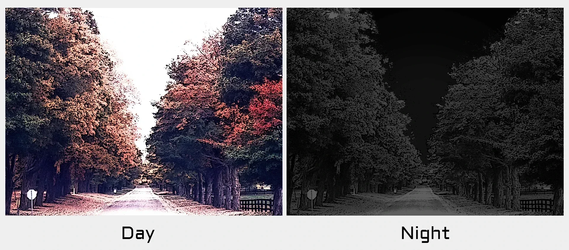 Камера Caddx Ratel PRO FPV 1500TVL 16:9/4:3 NTSC/PAL FOV125 ° камера с подсветкой для гоночного дрона