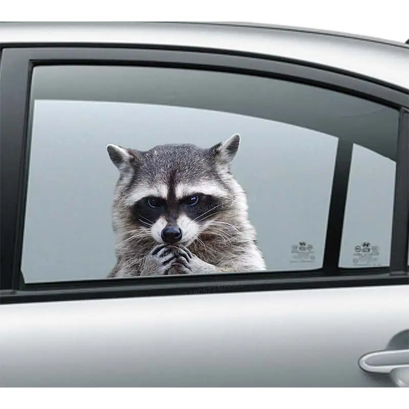 

Забавная наклейка на автомобиль в виде енота, водонепроницаемая виниловая наклейка на бампер, заднее окно, ноутбук, самоклеящаяся наклейка, автомобильные аксессуары SH202