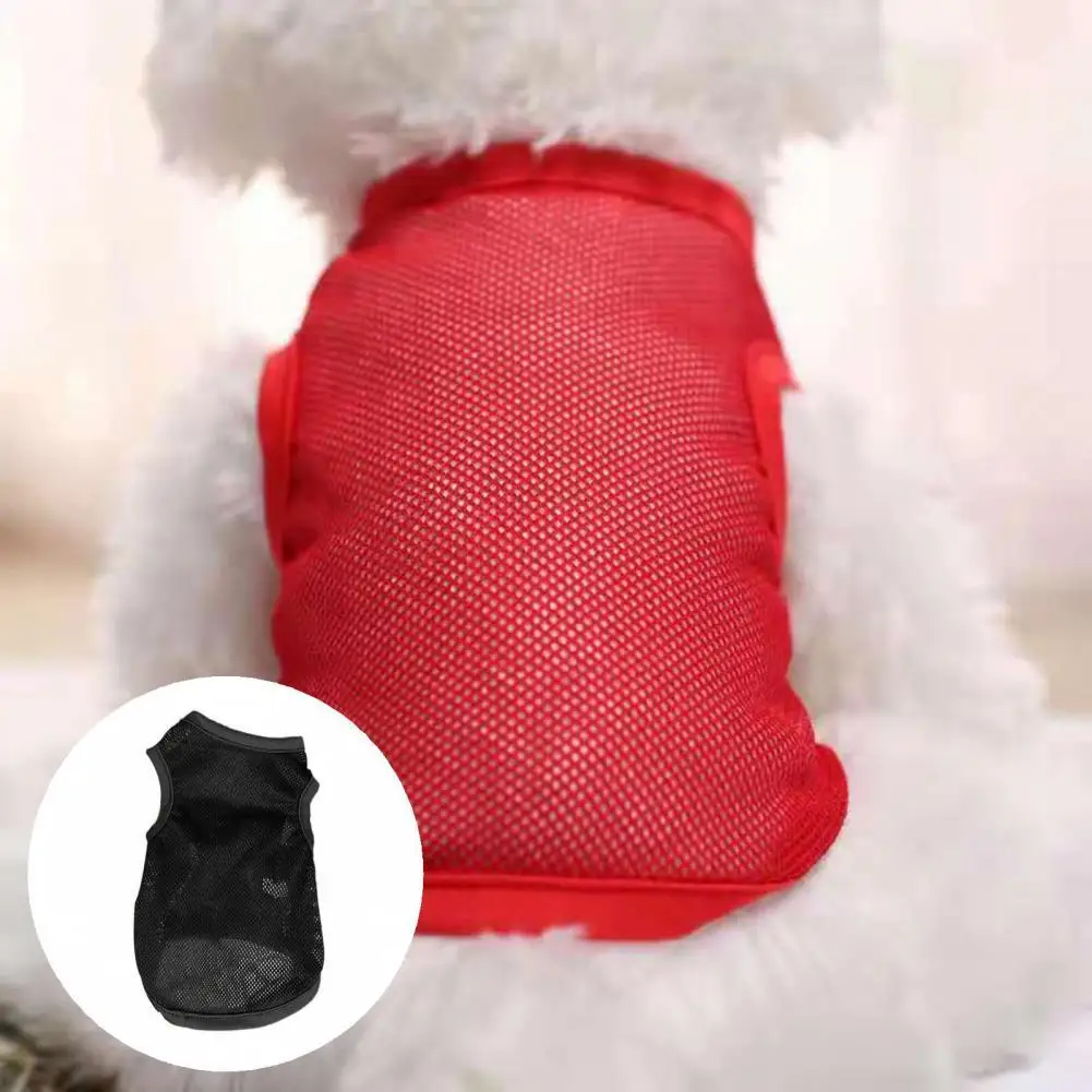 

Solid Color Stylish Round Collar Dog Shirt 6 Sizes Dog Tops No Fading for Chihuahua