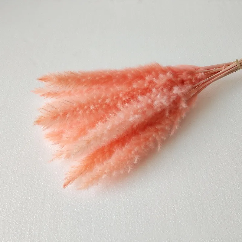 

Natural Small Reed Grass Primary Color，White，Pink Reed Flore Dry Flowers Of Real Plants Wedding Home Decor 15pcs/Lot