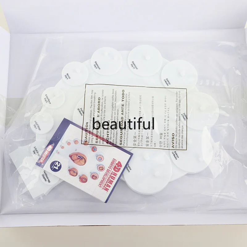 21 шт. Детский развивающий орган эмбиро