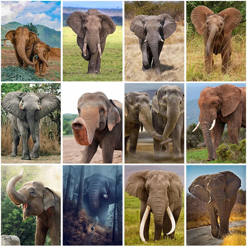 

Алмазная 5D картина «сделай сам», животное, слон, алмазная вышивка, Набор для вышивки крестиком, хобби ручной работы, украшение для стен дома