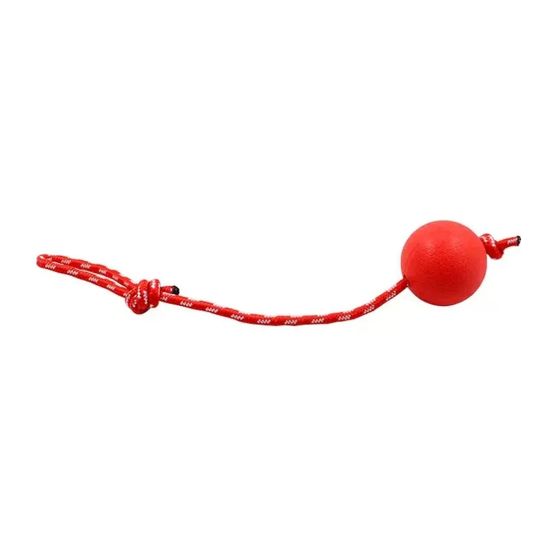 

Dog Toy Ball Bouncy Ball Bite Resistant Teeth Grinding Solid Teeth Cleaning Teddy Puppy Boredom Relief Rubber Pet Training
