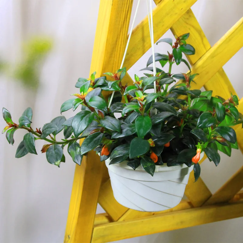 Пластиковая подвесная корзина для цветов с крючком-вешалкой цветочный горшок