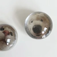 Попсокеты с пухлями внутри 

130 рублей#3