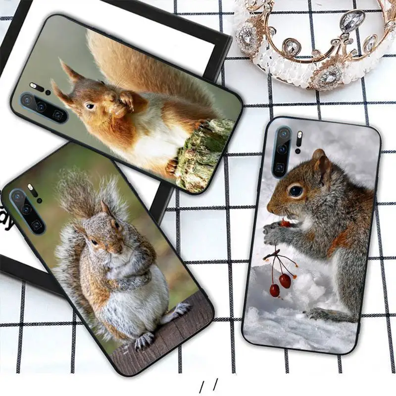 

squirrel cute animal Phone Case For Huawei honor Mate 10 20 30 40 i 9 8 pro x Lite P smart 2019 Y5 2018 nova 5t