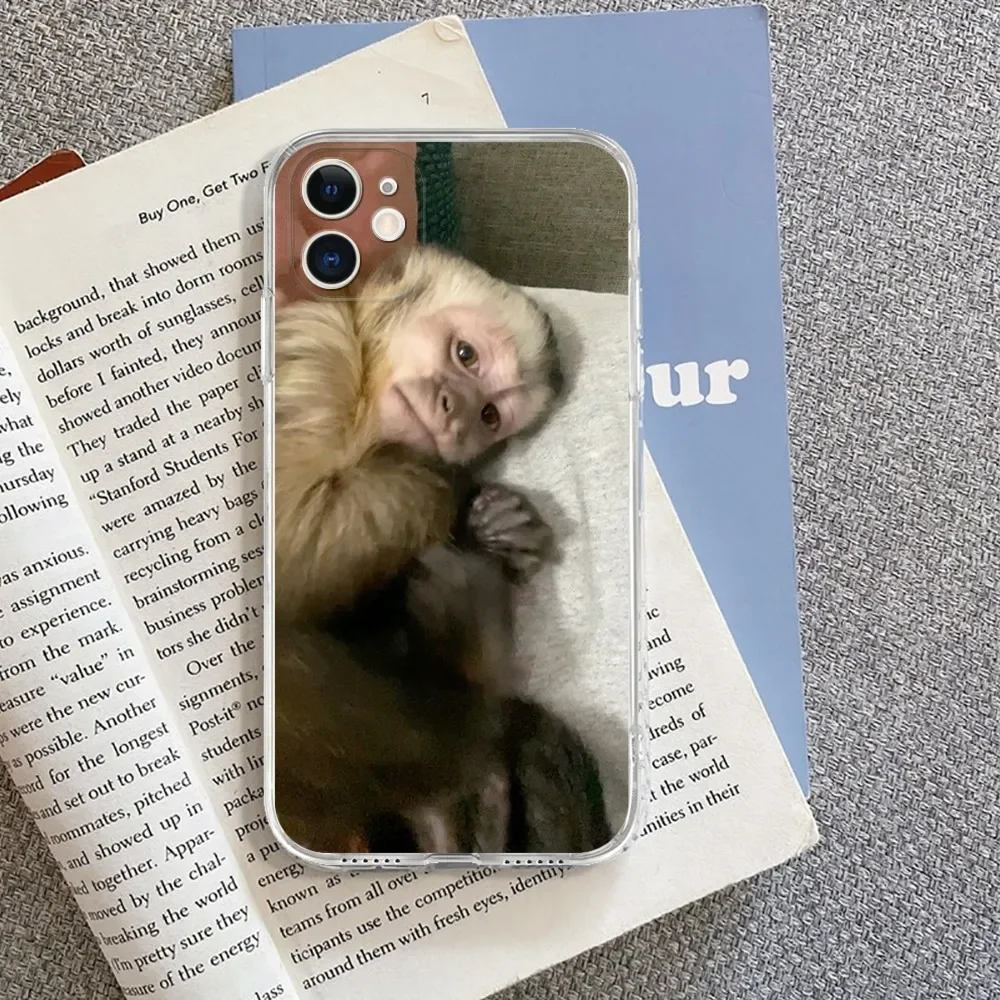 Обложка в виде обезьяны новинка 2024 искусственная кожа для IPhone15 14 13 12 11 Pro 15 Plus MAX XR XS