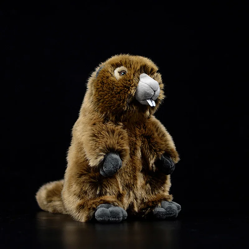 

Cute Marmot Real Life Plush Toy Soft Sciuridae Doll Lifelike Animal Prairie Dog Stuffed Toy Kids Kawaii Christmas Groundhog Gift