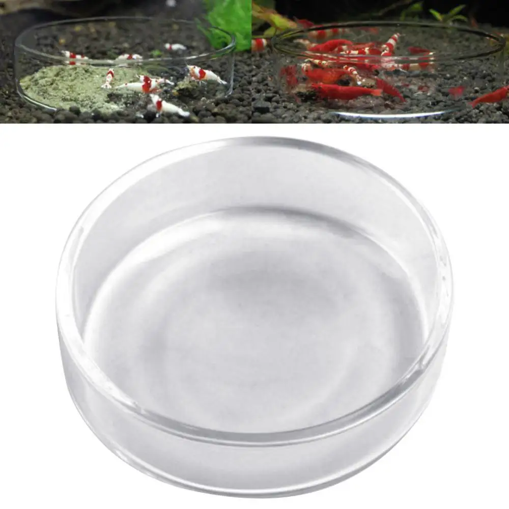 

Aquarium Fish Tank Crystal Red Cherry Shrimp Round Glass Feeding Dish Feeder Thickened Living Room Highly Transparent Small Pet
