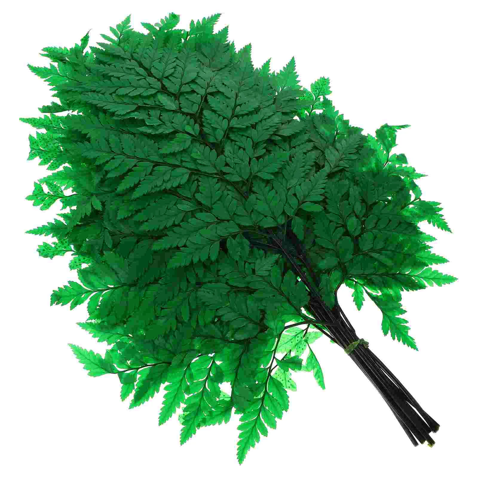 

1 bundle of Home Ferns Decor Plants Adornments Decorative Plants Vase Decor