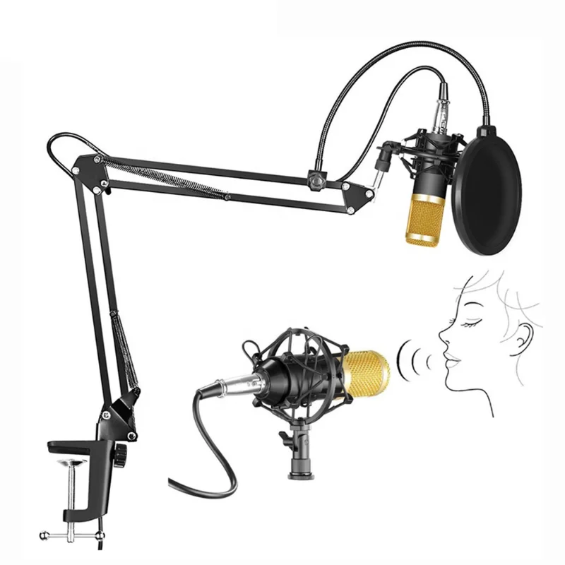 

Free shipping BM 800 Mic Arm Scissor Stand Filter Studio Condenser Microphone