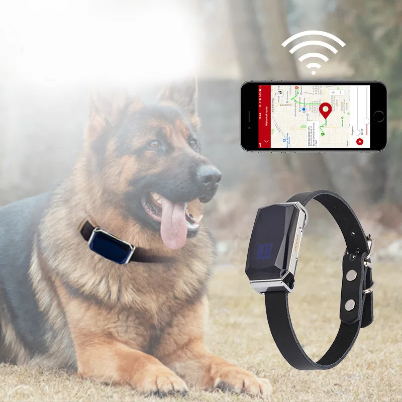 GPS Pet Tracker for Cats or Dogs - Waterproof, GPS Location & Smart Activity Tracker, Unlimited Range, Works with Any Collar