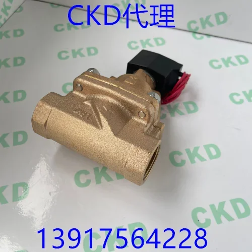 Фото Полностью разборный паровой электромагнитный клапан 2026 AP11-15A/20A-C2C-AC220V №4