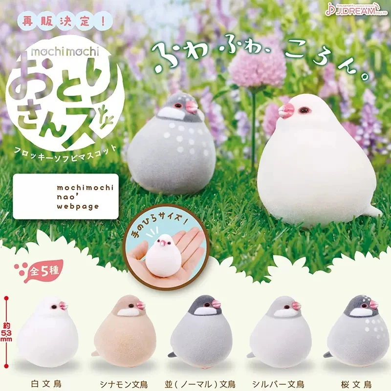 

J.DREAM Japan Gashapon Kawaii Flocking Bird Figure Capsule Toys Gacha Figurine Anime For Kids Gift