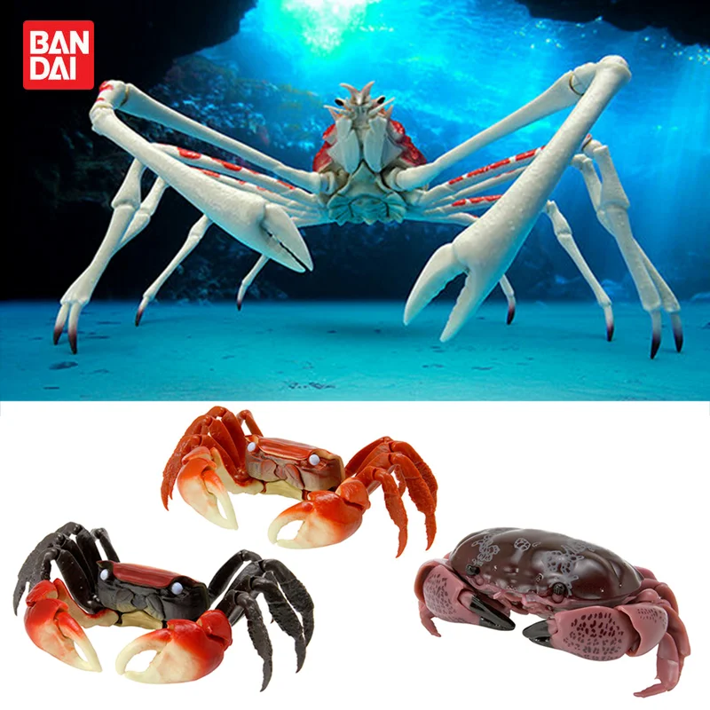 

Gashapon Capsule Toy Biography of Crabs Spider Crab Fiugre Miniature Gacha Doll Figures Model Table Ornaments Kids Gifts