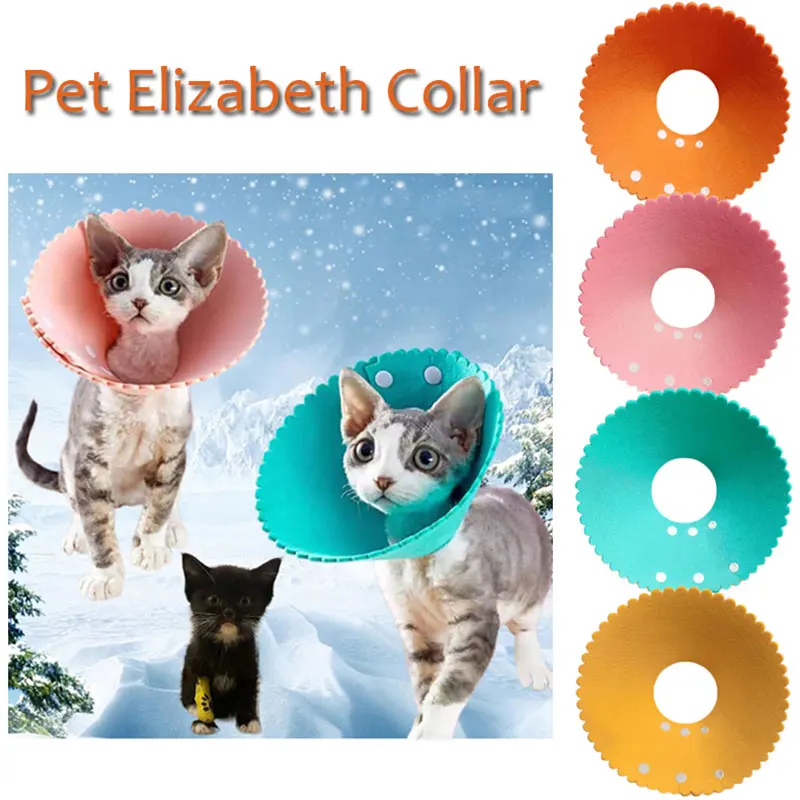 

Felt Cat Collar Elizabeth Circle Cat Sun Flower Collar Felt Pet Products Anti-Licking Cat Collar Chihuahua Luxury Dog Collar