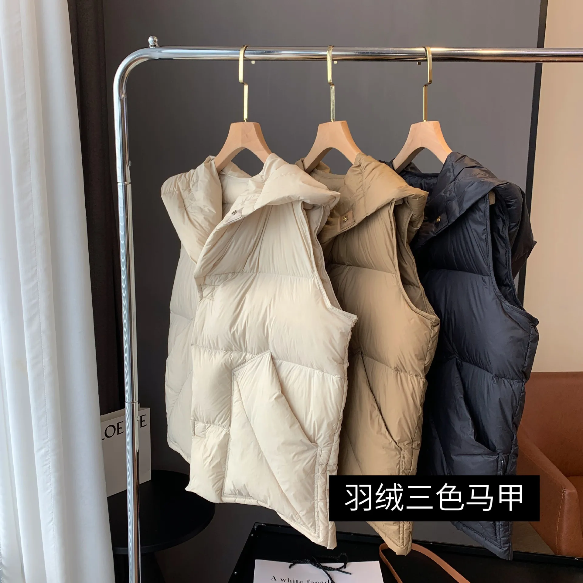 Winter New Vest Down Coat Women Short Thickened Loose Hooded White Duck Down for Women