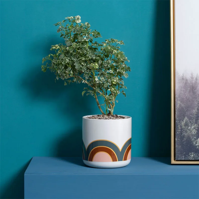 

Creative modern light luxury art abstract texture ceramic flower pot Nordic home decoration green plant flower pot vase ornament