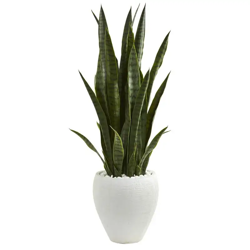 

Пластиковое зеленое искусственное растение Sansevieria в белом растении