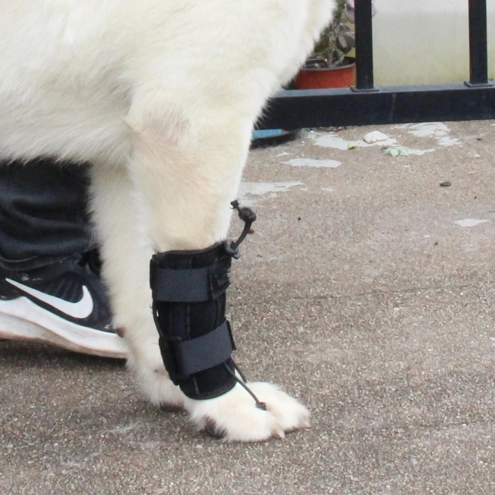 Передний вспомогательный пояс для ног собак с ограниченными возможностями