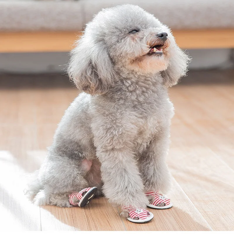 Cute Pet Cartoon Hond Schoen Gestreepte Sterren Sandals Tendon Bottom Breathable Non-Slip Sandals Puppy Pets Dog Socks Sneakers
