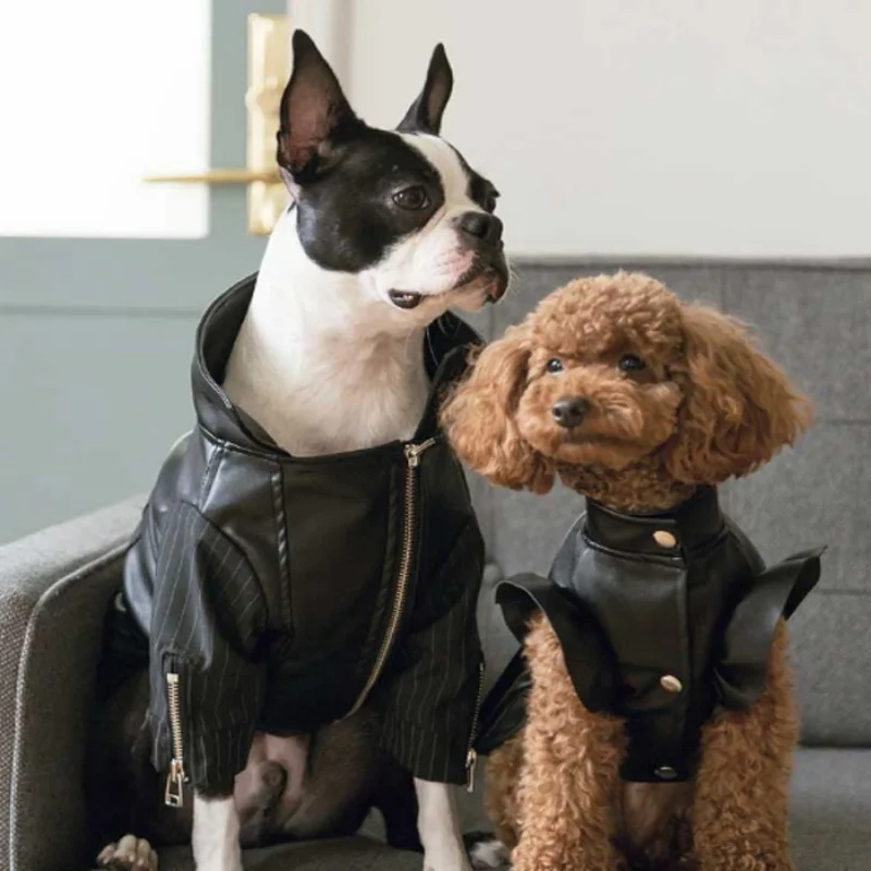 Spring and Autumn Wear Small and Medium-sized Dog VIP Bixiong Pomegi Doll Pet Lovers Leather Coat