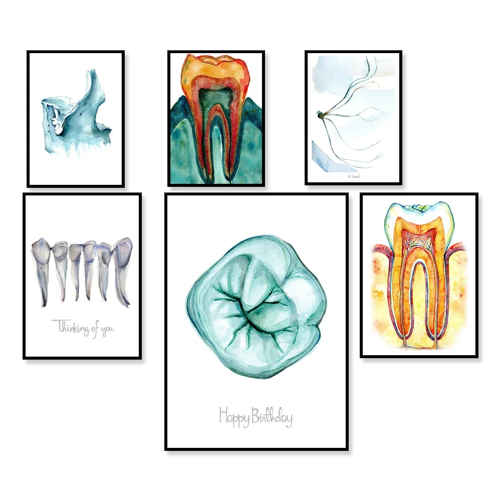 Tooth Bone and Gingiva Watercolor Print Pan X Ray Teeth Art - Dental Anatomy