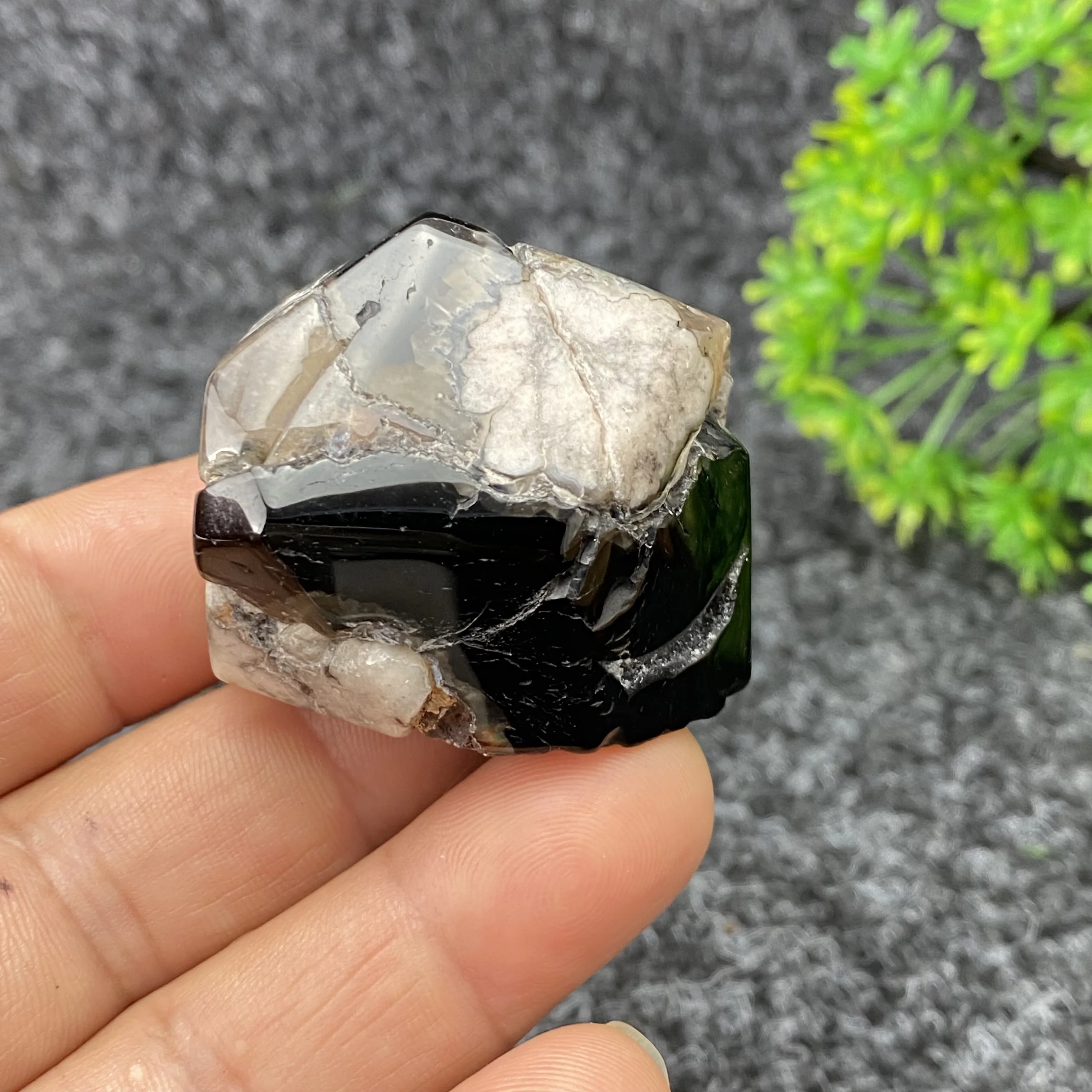 

Черный вишневый цветок, многогранный кристалл