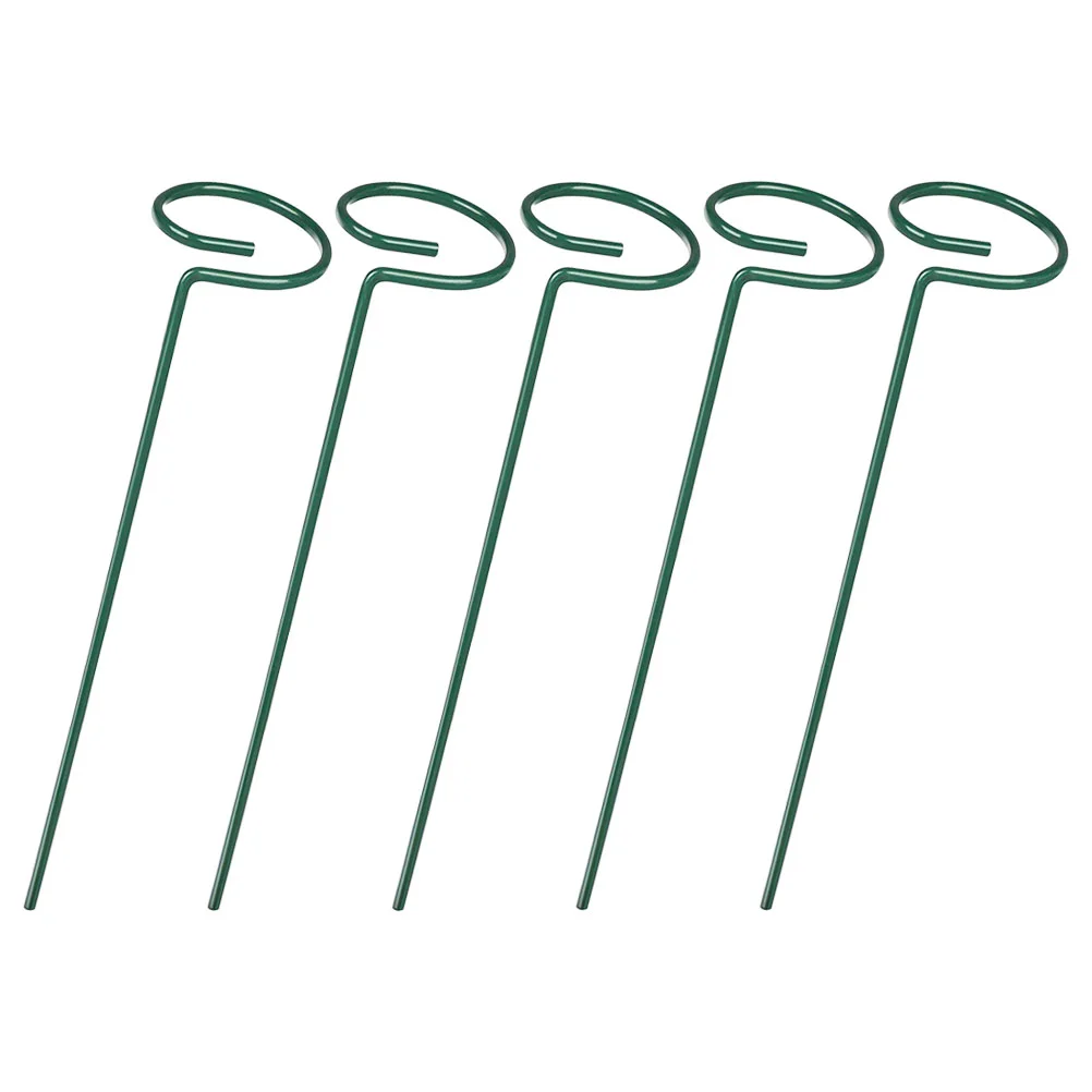 

5Pcs Peony Orchid Plants Support Stakes Stakes Garden Single Stem Support Stake Garden Supply for Garden