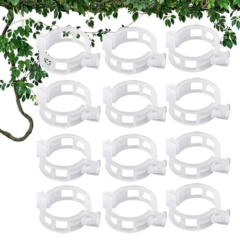 

Garden Clips 100 Pieces Vine Clamps Support Clips For Climbing Trellis Flower Crop Orchid Vegetable To Grow Upright And Make