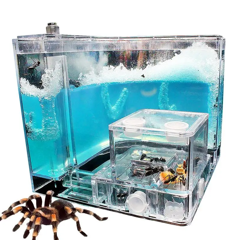 

Ant Home Observation Maze Science Education Accessory Children's Science Education Toys For School Science Experiment Tool