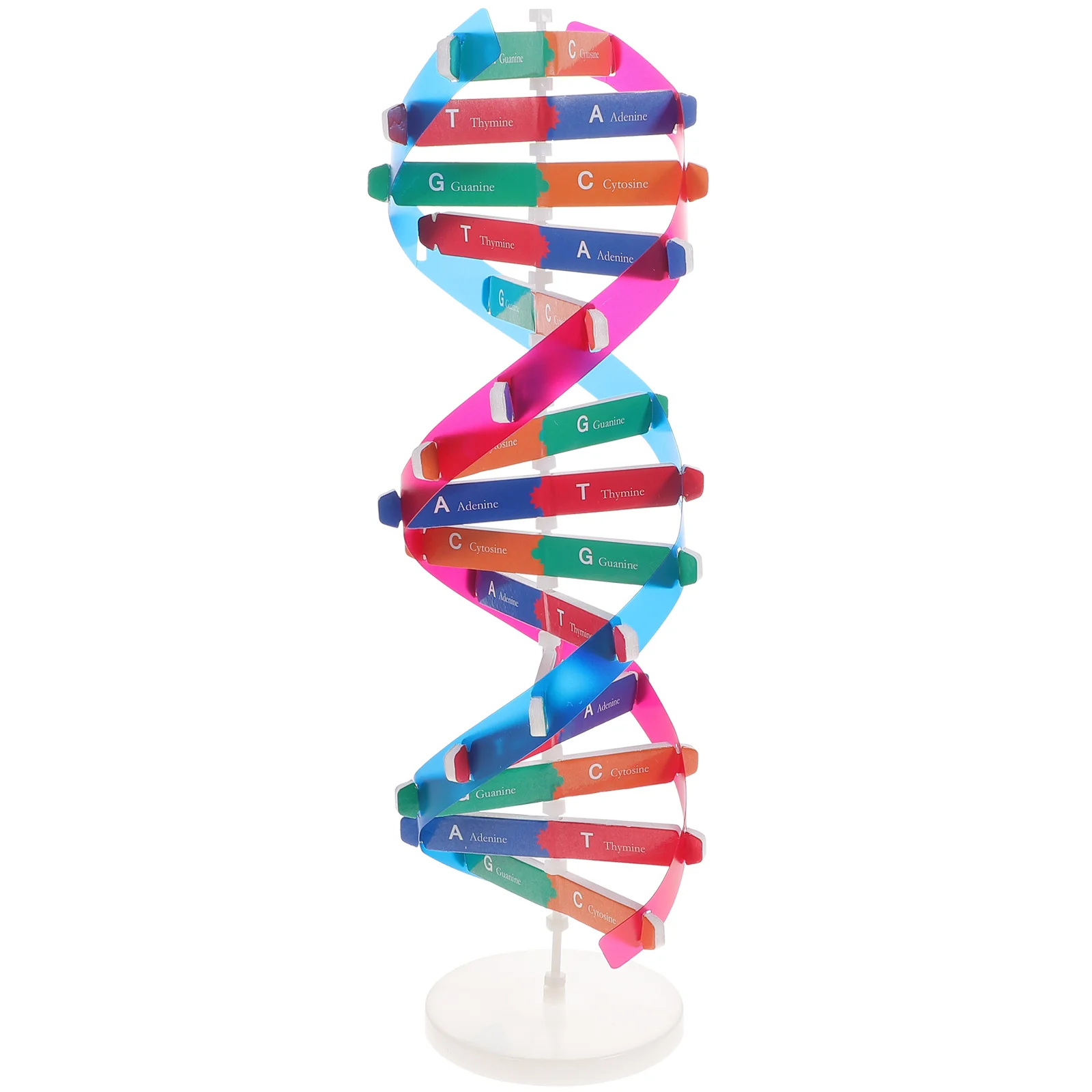 

Dna Model Helix Science Double Kit Toy Teaching Structure Models Genes Display Learning Classroom Decor Stand Educational
