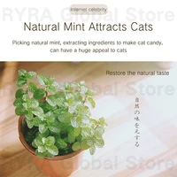 Подборка товаров для ваших четвероногих детей#1