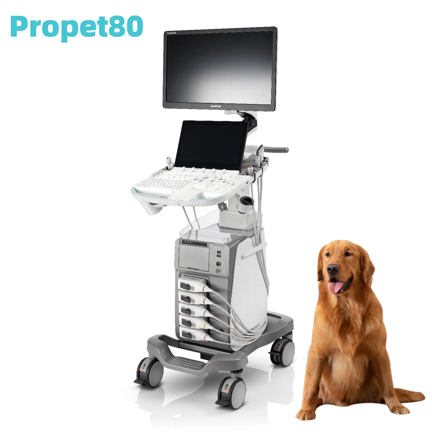 SonoScape Пропет80 ветеринарный ультразвук