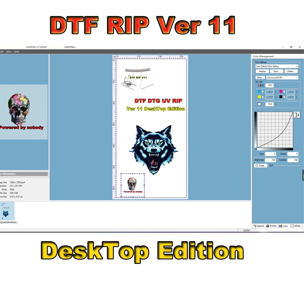 DTF RIP DTG UV Software Ver 11 Desktop Edition Dongle Key For Epson XP 15000 L1800 L805 R1390 P700 P900 DTF Printer Version 11